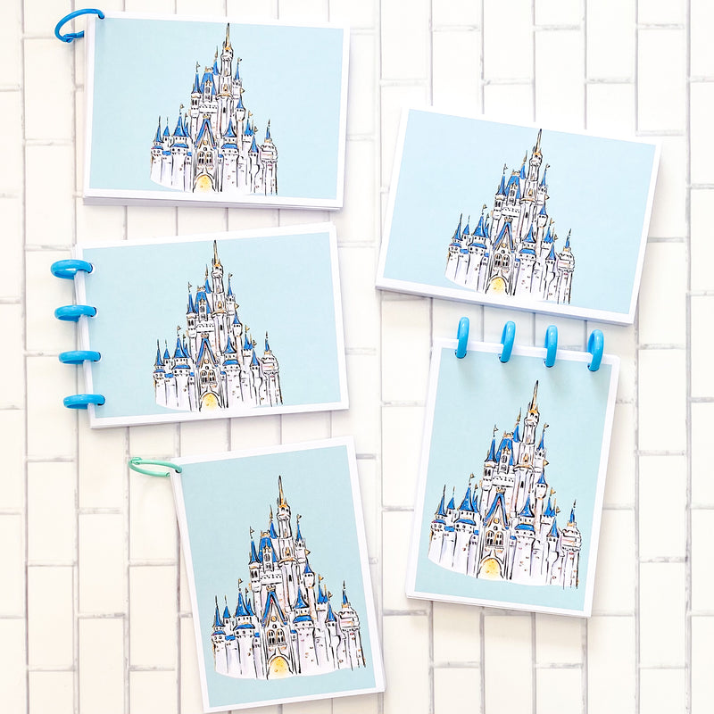 Flash cards Princesas Disney 1